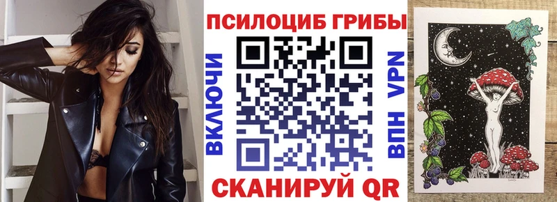 Галлюциногенные грибы Psilocybine cubensis  Электрогорск 