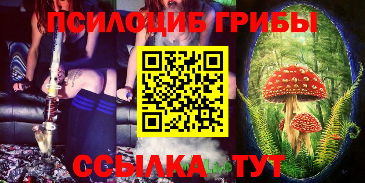 Галлюциногенные грибы прущие грибы Электрогорск