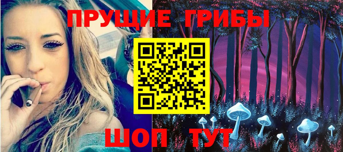 наркошоп  Псилоцибиновые грибы MAGIC MUSHROOMS  Электрогорск  Псилоцибиновые грибы MAGIC MUSHROOMS 